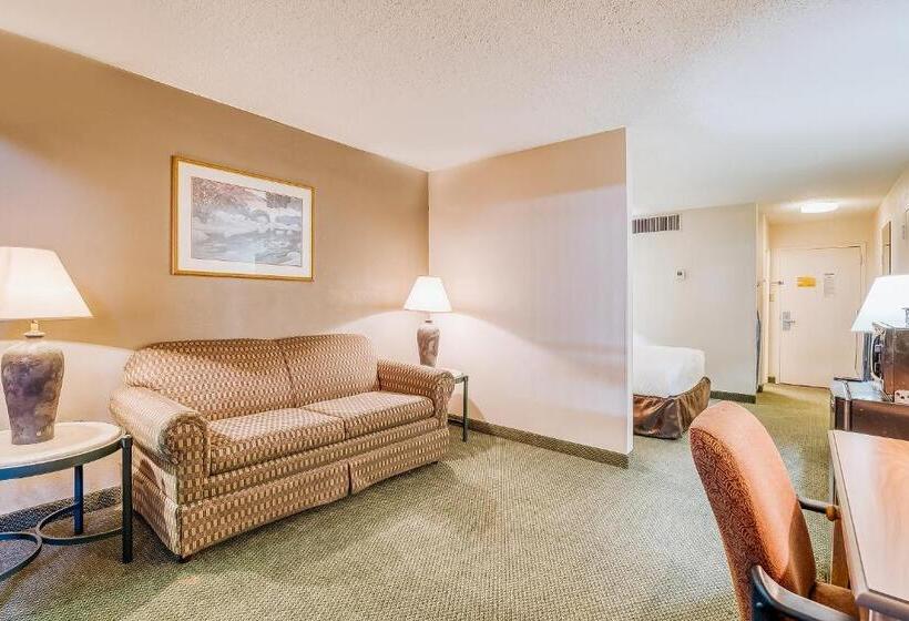 سوییت جونیور, Oyo Hotel Monroe La I 20