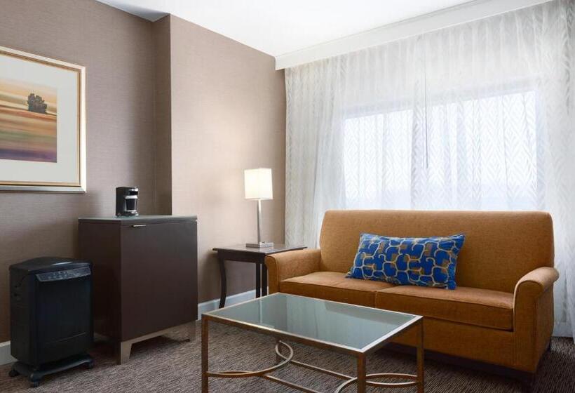 장애인을 위한 스탠다드 룸, Hyatt Regency Dulles