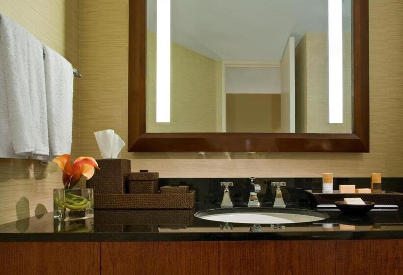 스탠다드 룸 수피리어 층, Hyatt Regency Dulles