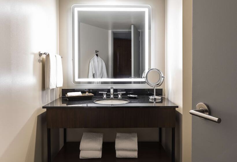 Номер Стандарт 2 Двуспальные Кровати, Hyatt Regency Houston Downtown