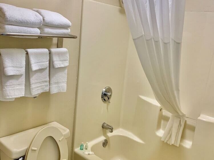 스탠다드 룸 더블 침대 2개, Quality Inn Seneca Us123