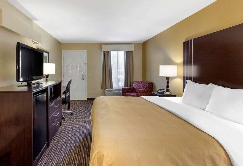 스탠다드 룸 킹사이즈 침대, Quality Inn Seneca Us123