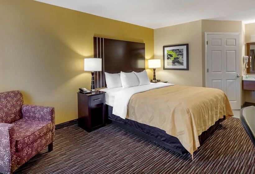 스탠다드 룸 킹사이즈 침대, Quality Inn Seneca Us123