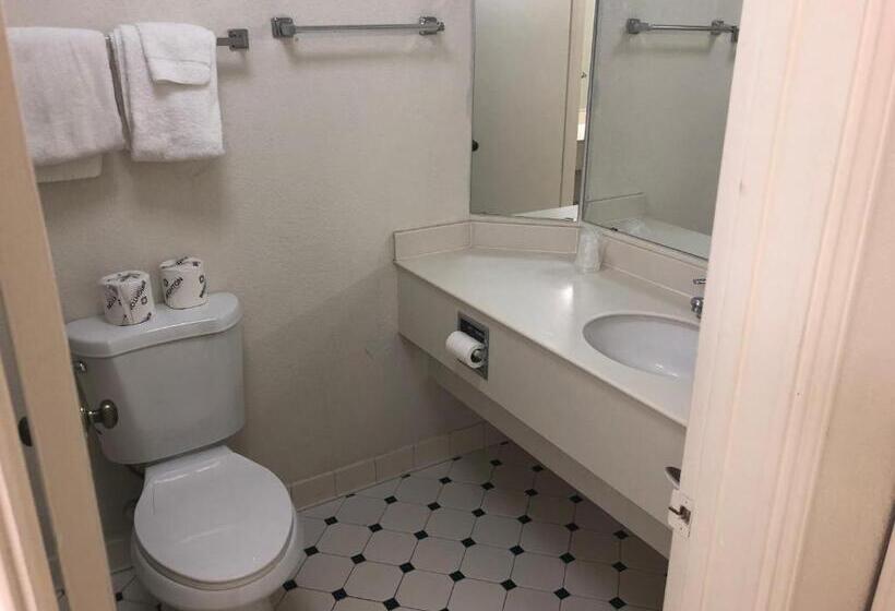 장애인을 위한 킹사이즈 침대 스탠다드 룸, Americas Best Value Inn Denver