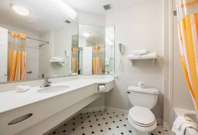 Suíte Cama King, La Quinta Inn & Suites By Wyndham Houston Bush Iah South