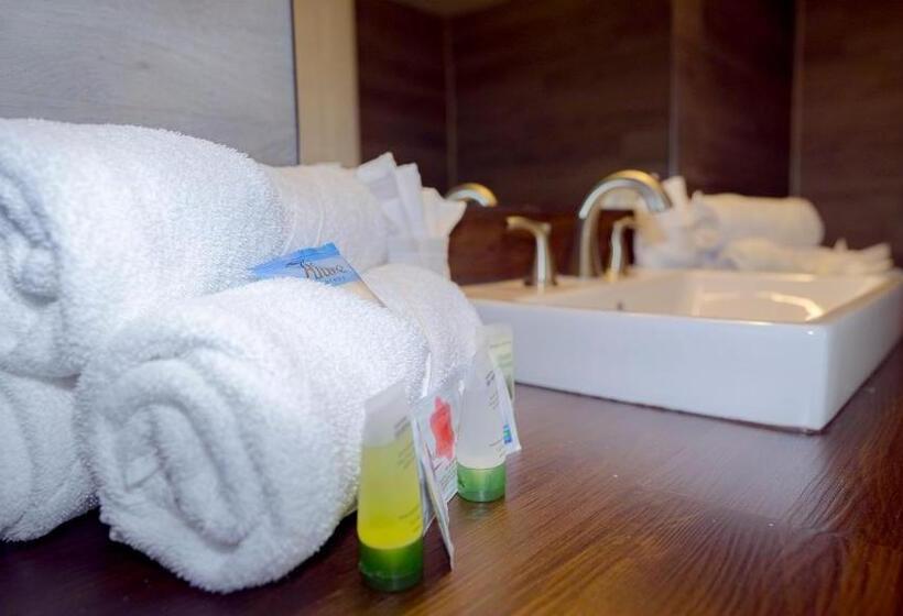 Люкс Вид на Бассейн, Banana Peel Lodge