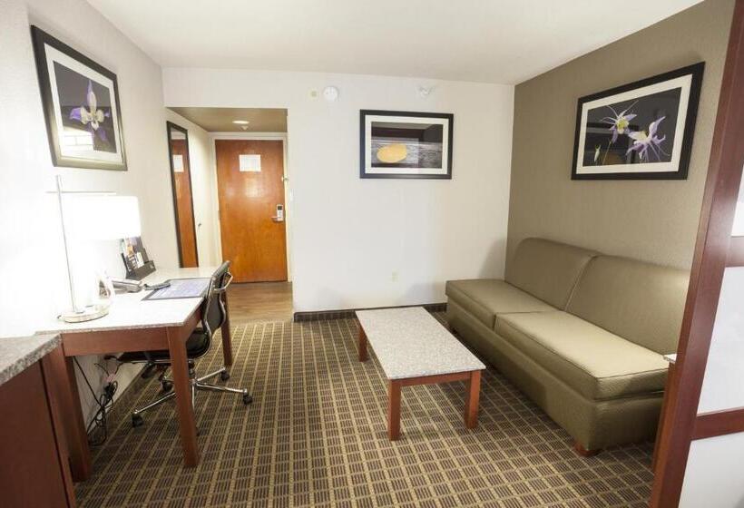 スタンダードルーム, Best Western Plus Peak Vista Inn & Suites
