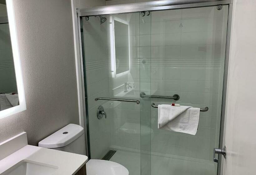 带大床的豪华间, Microtel Inn By Wyndham Charlotte Airport