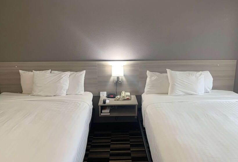 适合残疾人使用的标准间, Microtel Inn By Wyndham Charlotte Airport