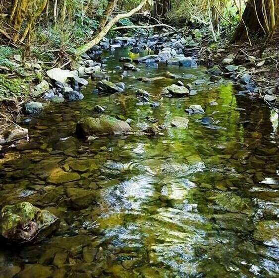 标准间, Le Moulin De Gauty