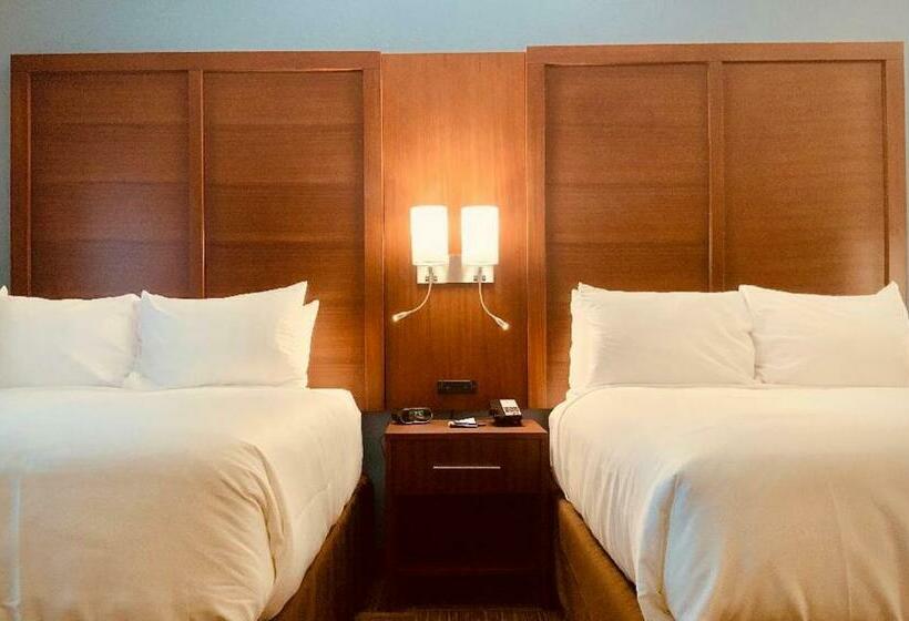 Номер Стандарт Адаптированный для Инвалидов, Comfort Suites
