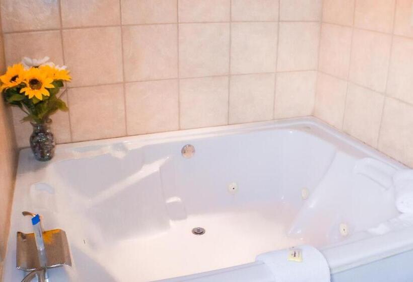 Люкс Кровать Кинг, Victorian Inn & Suites York