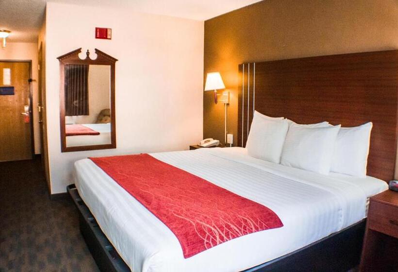 Номер Стандарт Кровать Кинг Адаптированный для Инвалидов, Victorian Inn & Suites York
