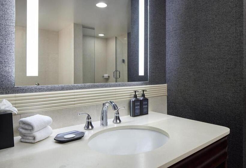 Стандартный Номер Кровать Кинг, Sheraton Valley Forge King Of Prussia