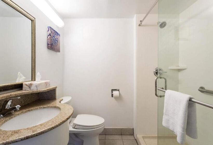 Номер Стандарт Адаптированный для Инвалидов, Ramada By Wyndham Virginia Beach