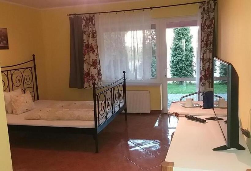 Номер Стандарт, W Starym Ogrodnictwie
