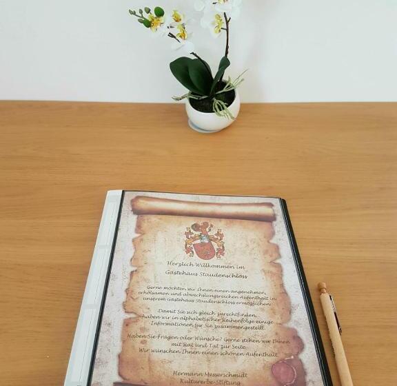 Номер Deluxe Одноместный, Gästehaus Staudenschloss