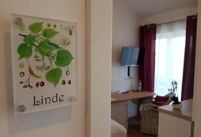 Номер Deluxe Одноместный, Gästehaus Staudenschloss