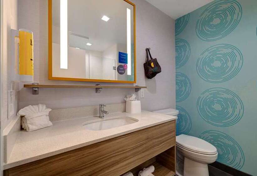 Стандартный Номер Кровать Кинг, Champlain Burlington, Curio Collection By Hilton