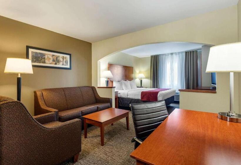 带大床的套房, Comfort Suites North Dallas