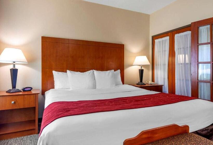 带大床的套房, Comfort Suites North Dallas