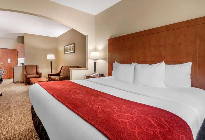适合残疾人士使用的套间, Comfort Suites North Dallas