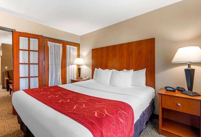 豪华套房, Comfort Suites North Dallas