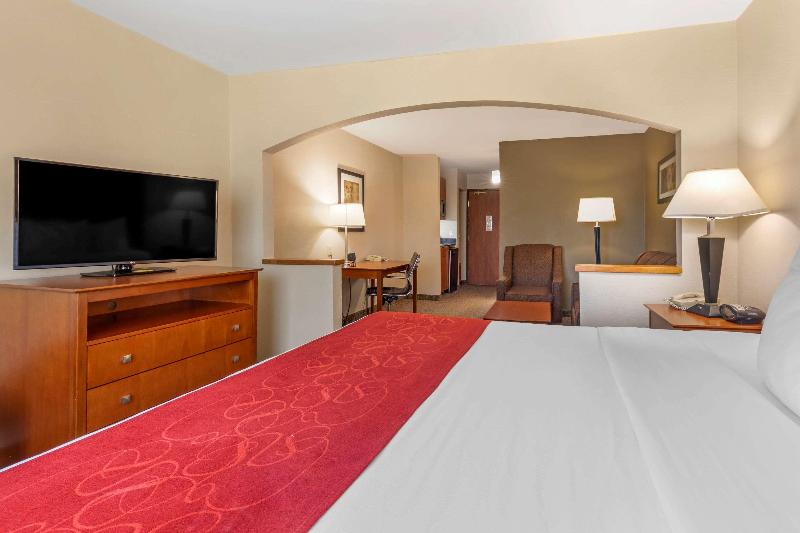 带大床的套房, Comfort Suites North Dallas