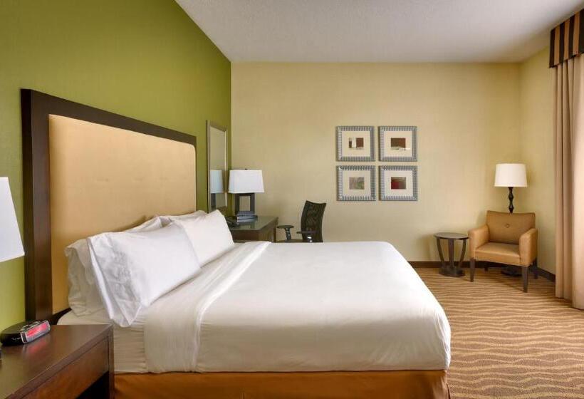 Номер Стандарт Кровать Кинг Адаптированный для Инвалидов, Holiday Inn Express & Suites American Fork   North Provo, An Ihg