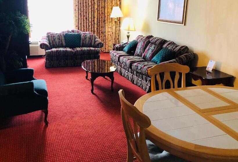 Полулюкс, Wyndham Garden Atlanta Airport