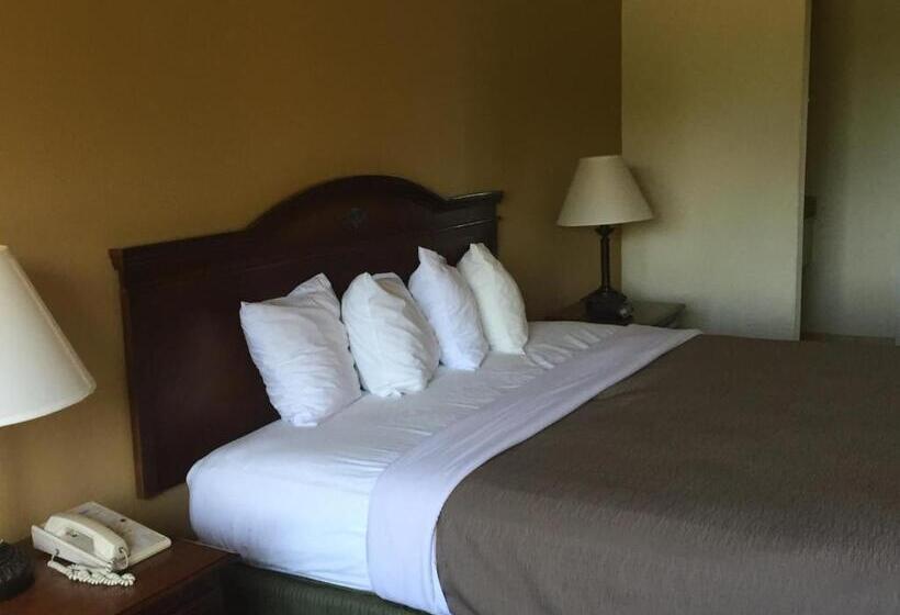 스탠다드 룸 킹사이즈 침대, Likehome Extended Stay Hotel Warner Robins