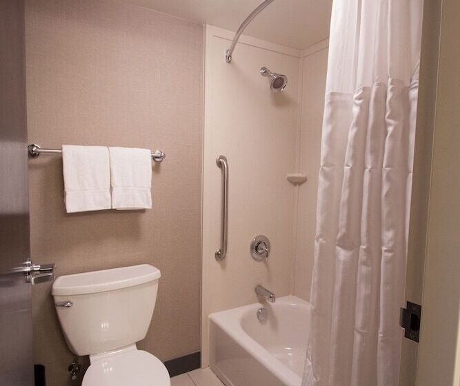 Люкс Адаптированный для Инвалидов, Comfort Inn & Suites