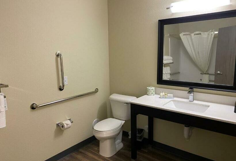 Номер Стандарт Кровать Кинг Адаптированный для Инвалидов, Cobblestone Inn & Suites  Forest City