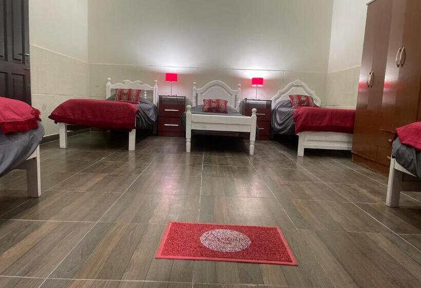 تختخواب در اتاق مشترک, Andino Bnb