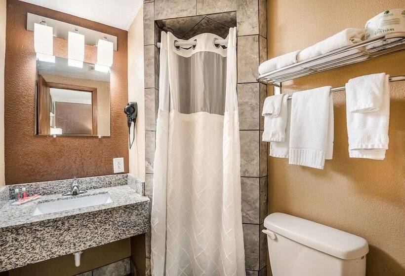 Номер Стандарт 2 Двуспальные Кровати, Econo Lodge