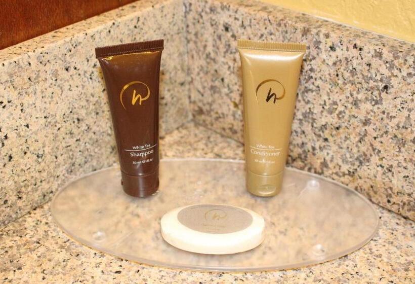 חדר דלוקס, Rosen Inn Closest to Universal