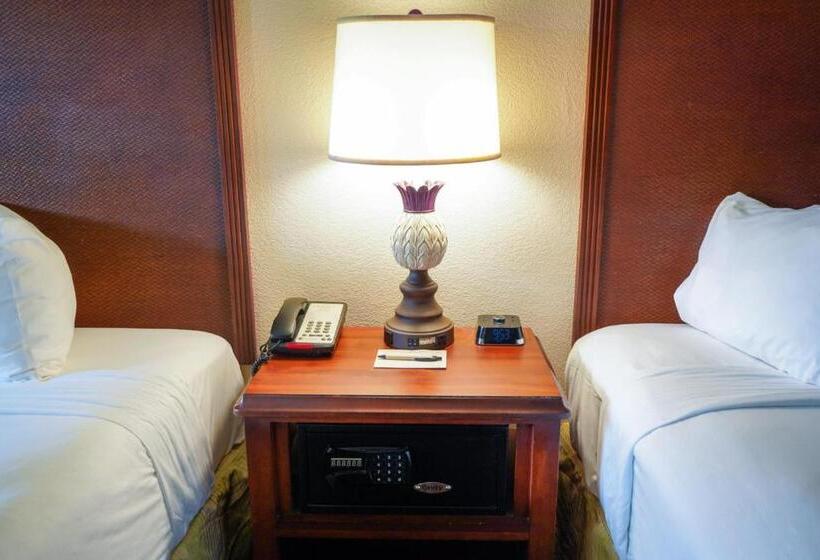 חדר דחוקס עם מיטת קינג, Rosen Inn Closest to Universal