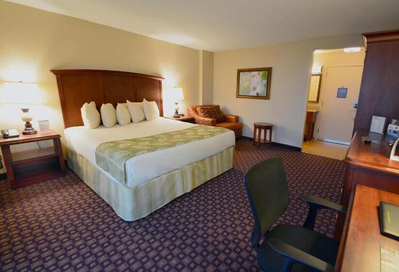 חדר דחוקס עם מיטת קינג, Rosen Inn Closest to Universal