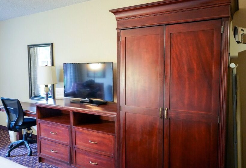 חדר דלוקס, Rosen Inn Closest to Universal