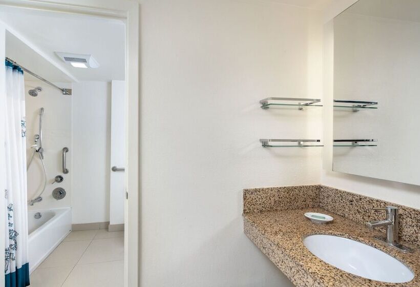 Люкс, Residence Inn By Marriott New Orleans Metairie