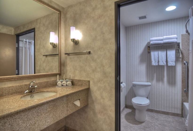 스탠다드 룸, Holiday Inn Express San Diego South   Chula Vista, An Ihg