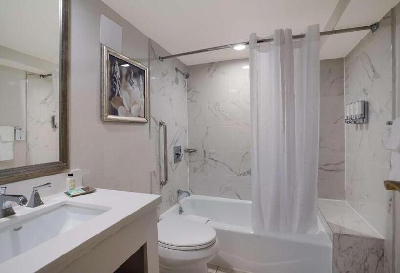 Номер Deluxe, The Royal Sonesta New Orleans