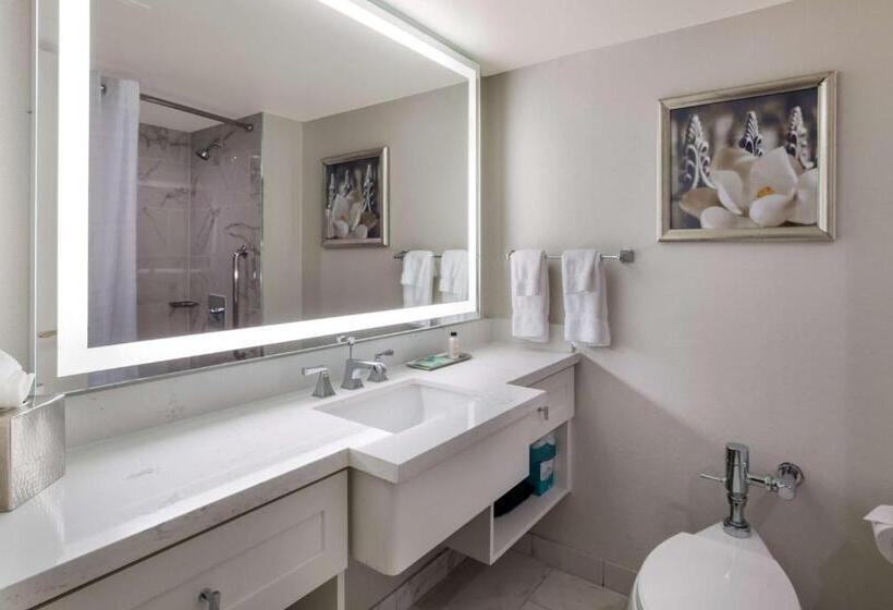 Номер Deluxe, The Royal Sonesta New Orleans