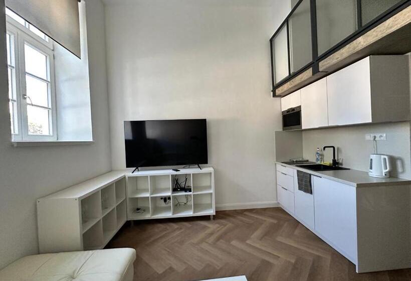 اتاق دوبلکس, Entrez Apartments 4   City Centre