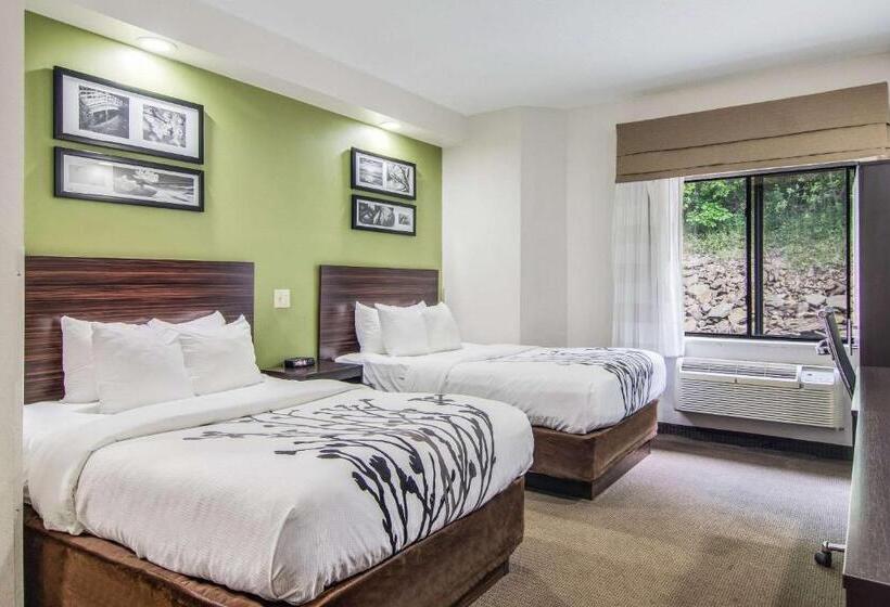 Номер Стандарт 2 Двуспальные Кровати, Sleep Inn Austintown   Youngstown, West