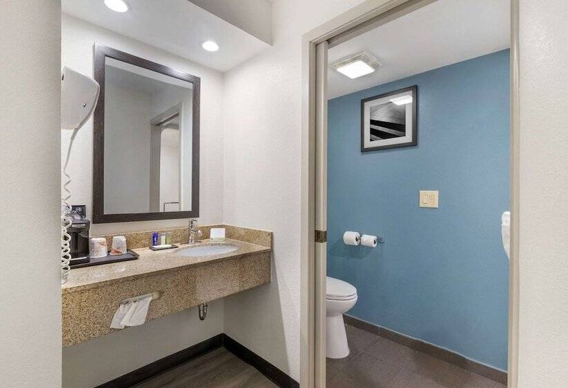 ２ダブルベッドのスタンダードルーム, Sleep Inn Mt. Pleasant  Charleston