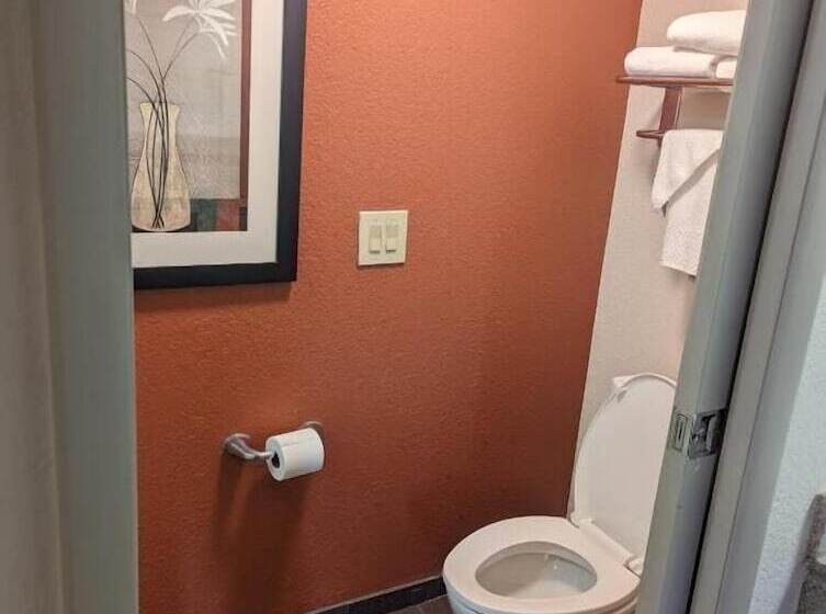 Номер Стандарт 2 Двуспальные Кровати, Sleep Inn Pelham Oak Mountain