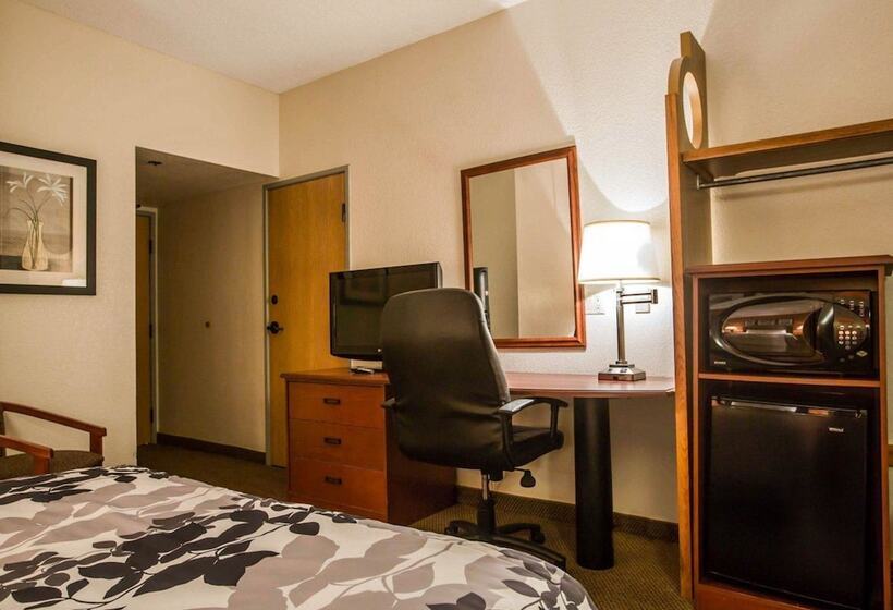 Номер Стандарт 2 Двуспальные Кровати, Sleep Inn Pelham Oak Mountain