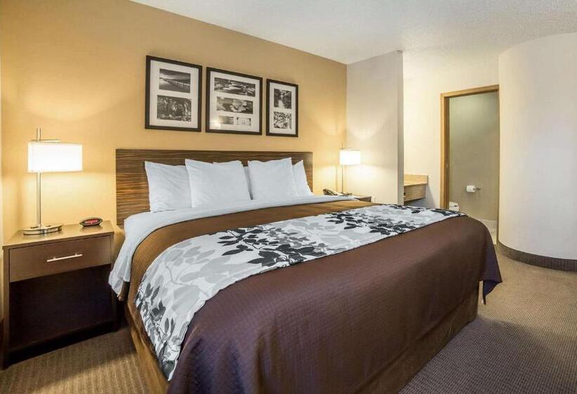 Стандартный Номер Кровать Кинг, Sleep Inn Provo Near University