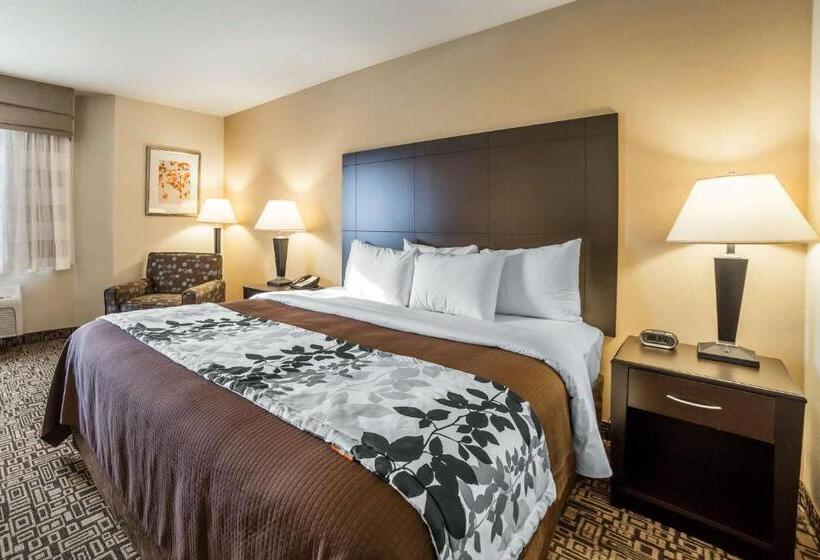 Стандартный Номер Кровать Кинг, Sleep Inn Provo Near University